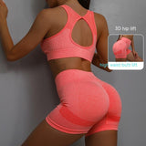 2pcs Sports Fitness Yoga Suit Breathable Hip-lifting Shorts And Hollow Out Back Bra Womens Clothing - AL MONI EXPRESS