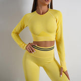 Seamless Yoga Pants Sports Gym Fitness Leggings Or Long Sleeve Tops Outfits Butt Lifting Slim Workout Sportswear Clothing - AL MONI EXPRESS